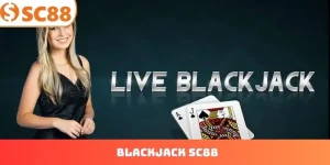Blackjack SC88