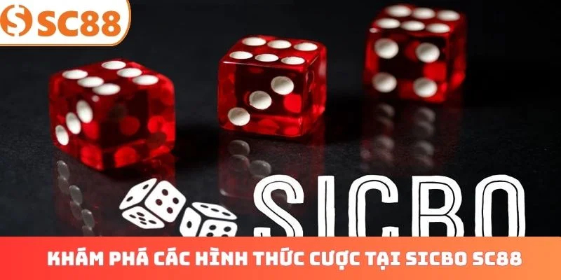 Khám phá các hình thức cược tại Sicbo SC88