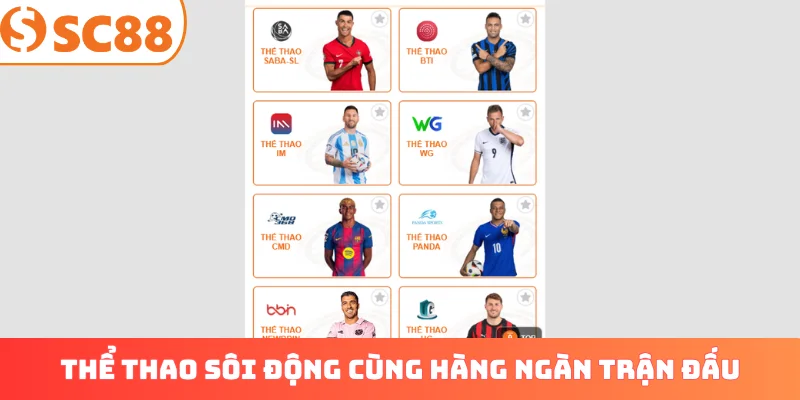 Thể thao sôi động cùng hàng ngàn trận đấu mỗi ngày