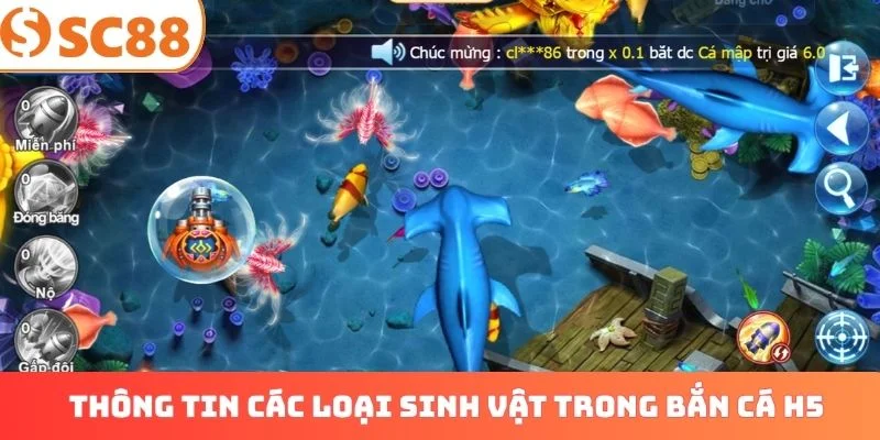 Bảng thông tin các loại sinh vật trong bắn cá H5